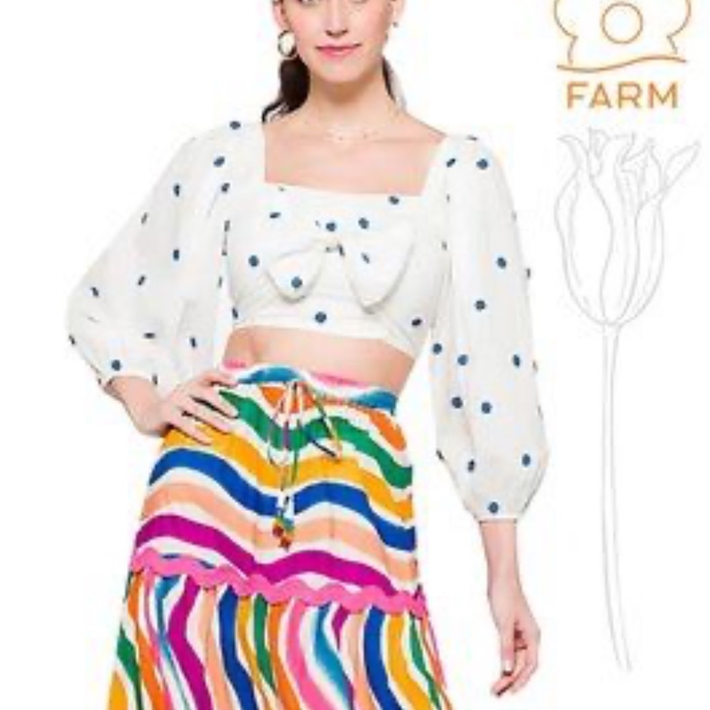 FARM Rio NWOT Blue Flowers Crop Top Balloon Sleeve Large White Blue Embroidery